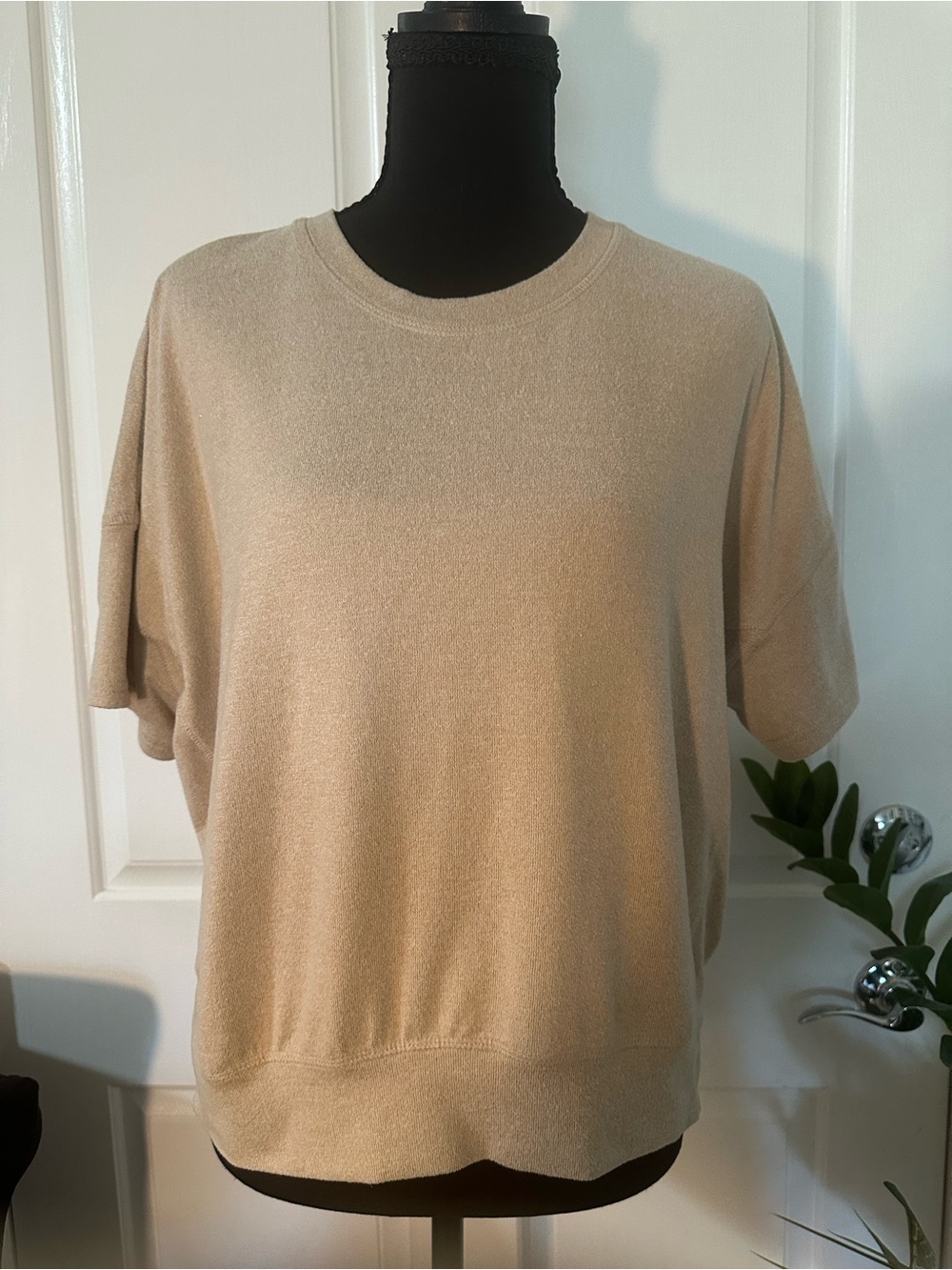 Neutral Beige Short-Sleeve Knit Top